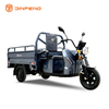 الشحن الكهربائي ثلاثية الدراجات C-ZJ150